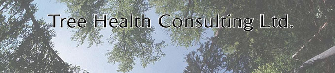 Tree Health Consulting Ltd